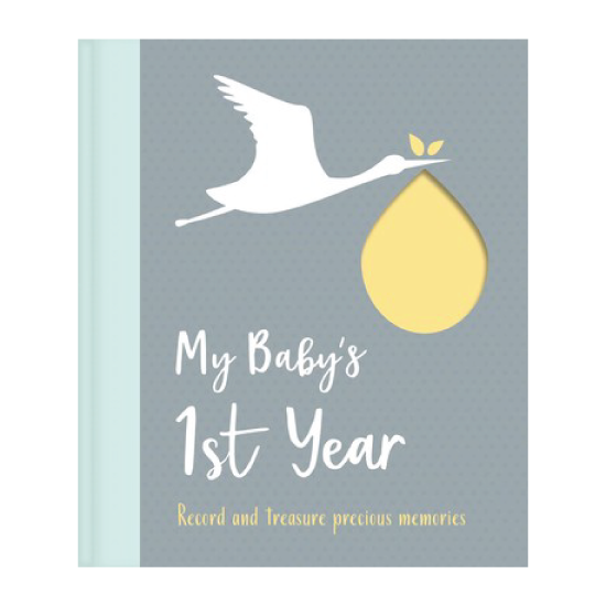 Igloo Books My Baby's First Year Book Bump Boxes